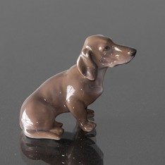 Small dachshund from Dahl Jensen
