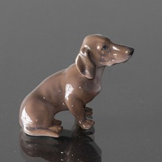 Lille Gravhund fra Dahl Jensen